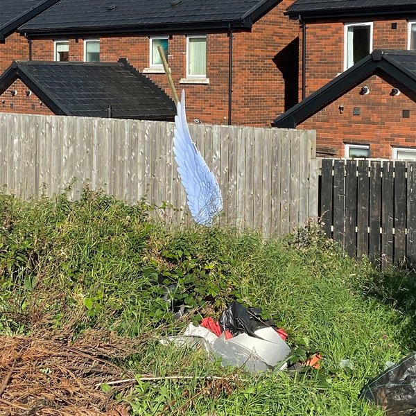 Thumbnail of p-cf1rromfevh-9dfb9f2cbab145a1 8