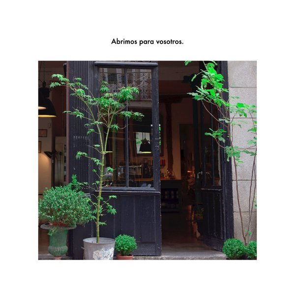 Thumbnail of b-pmlulqv5u-9e0a6a6ec73d45a2 0