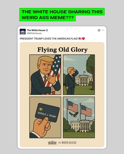 Thumbnail of di9no7cu-5t-9e1294a2b3114339 15