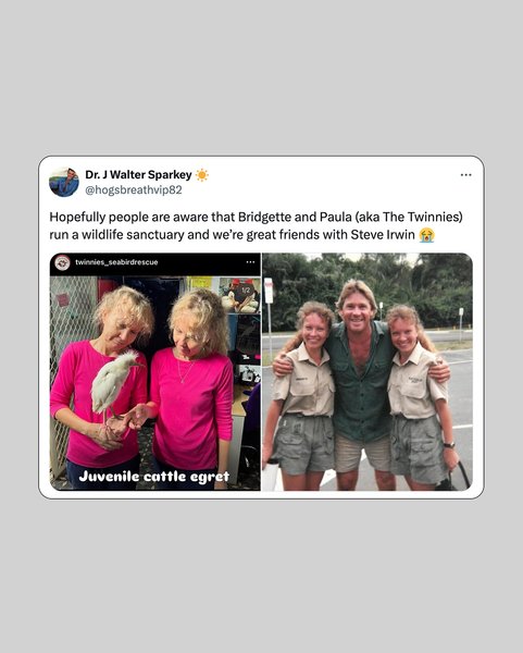 Thumbnail of di9no7cu-5t-9e1294a2b3114339 5