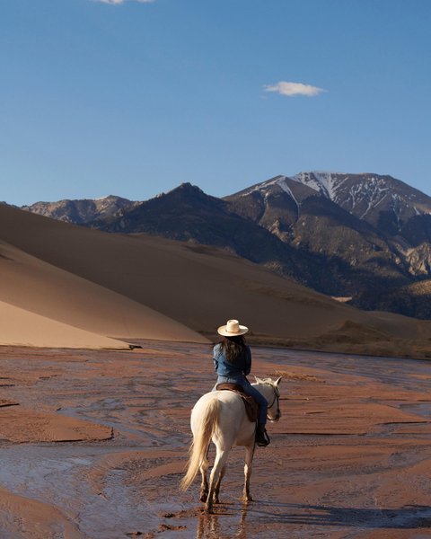 Thumbnail of p-cqevse2gjiz-9e62a3ab16c84493 0