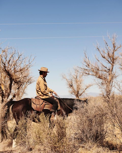 Thumbnail of p-cqevse2gjiz-9e62a3ab16c84493 2