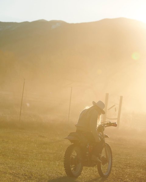 Thumbnail of p-cqevse2gjiz-9e62a3ab16c84493 4