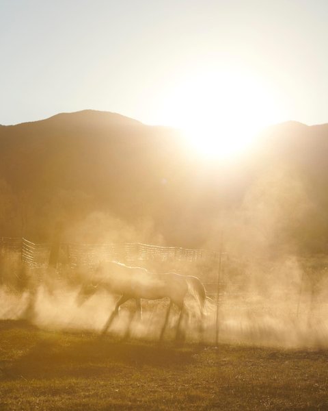 Thumbnail of p-cqevse2gjiz-9e62a3ab16c84493 5