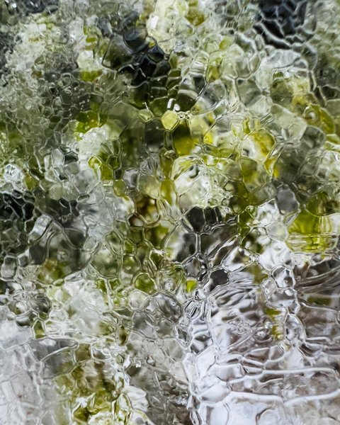 Thumbnail of p-cnsmf1gsviz-9e709004561d477a 9