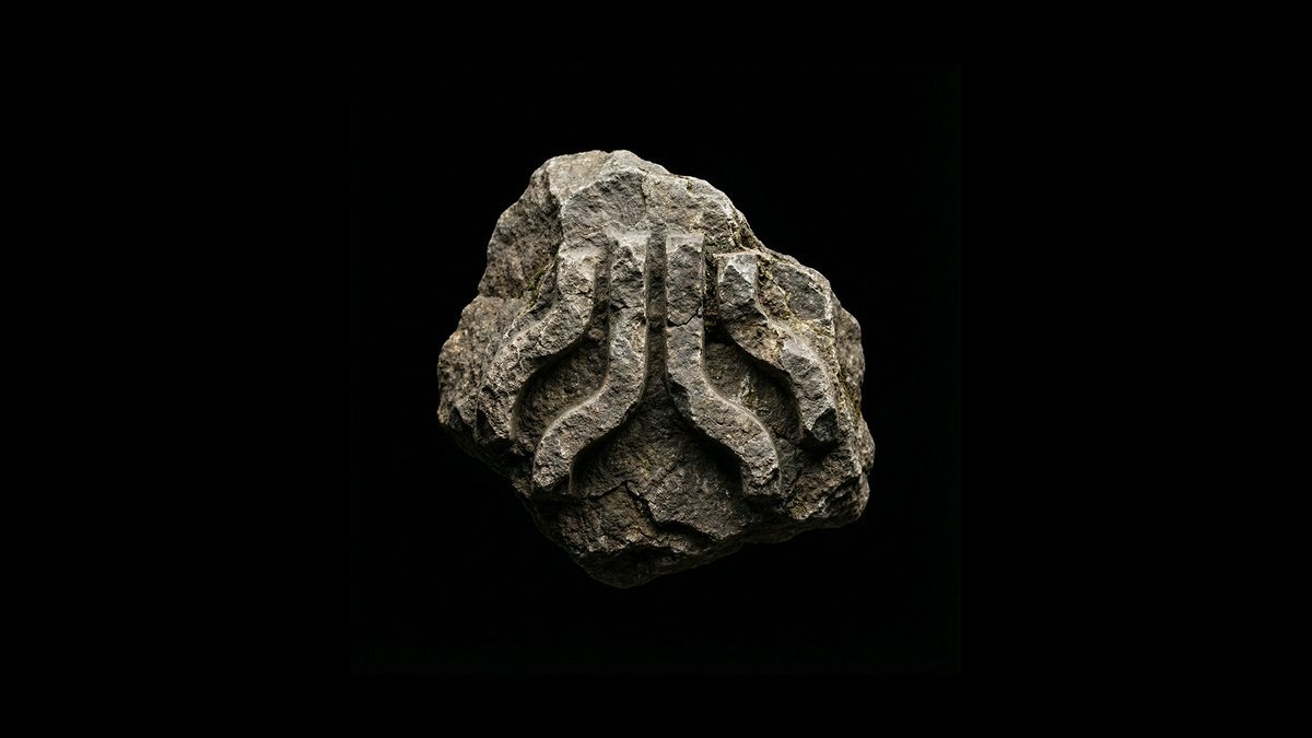 Thumbnail of www-x-com-iamnotsrc-status-1994852613335257227-9ea6cefc698b4d99