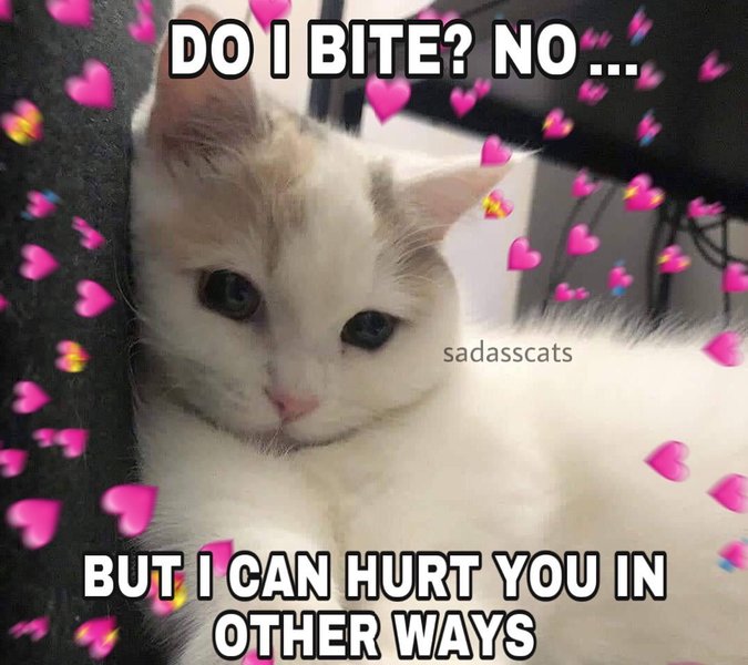 Thumbnail of t-4pijn-9eb0d89e573e4e06 0