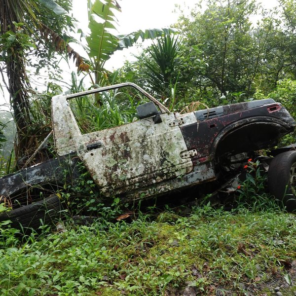 Thumbnail of p-dcr8qqmmp6h-9eb541488cbc4800 11