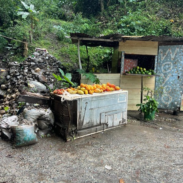 Thumbnail of p-dcr8qqmmp6h-9eb541488cbc4800 2