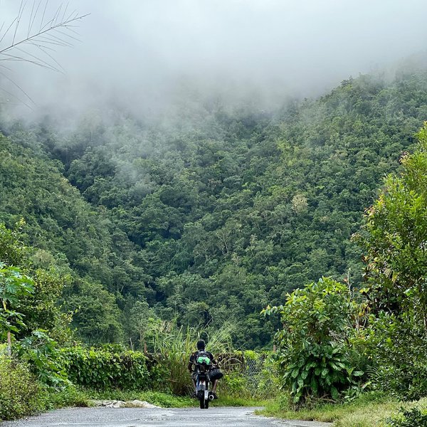 Thumbnail of p-dcr8qqmmp6h-9eb541488cbc4800 5