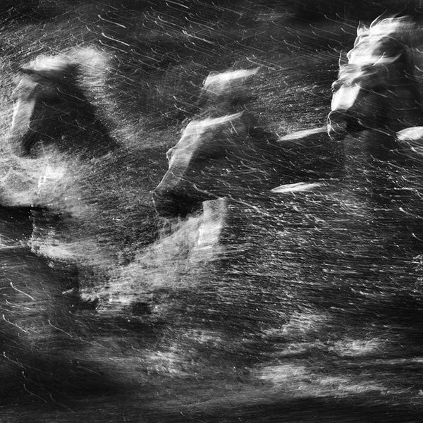 Thumbnail of p-spshuog6c9-9ed164a6aac14347 0
