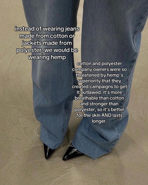 Thumbnail of p-cz1qptrtmet-9f01377938e2494a 5