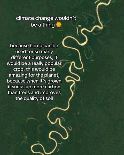 Thumbnail of p-cz1qptrtmet-9f01377938e2494a 7