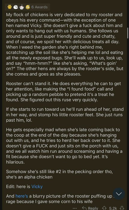 Thumbnail of www-x-com-maladroithe-status-1660144027407372290-9f2fad3544114ada