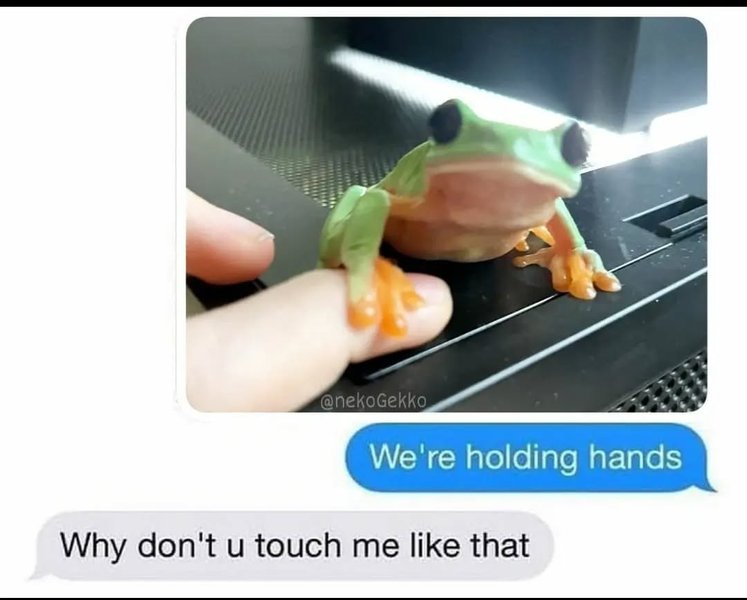 Thumbnail of cy-bsumxsm-9f380433a13a4ef9 0