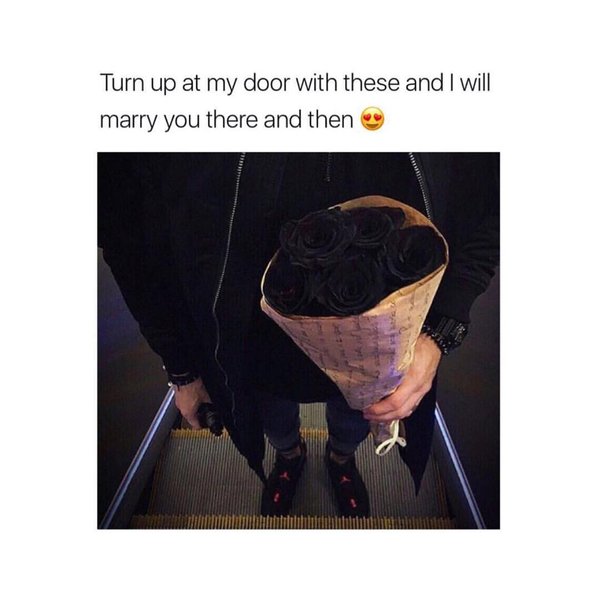 Thumbnail of p-bngloz0hlzf-9f5b4ca3ddf44805 0