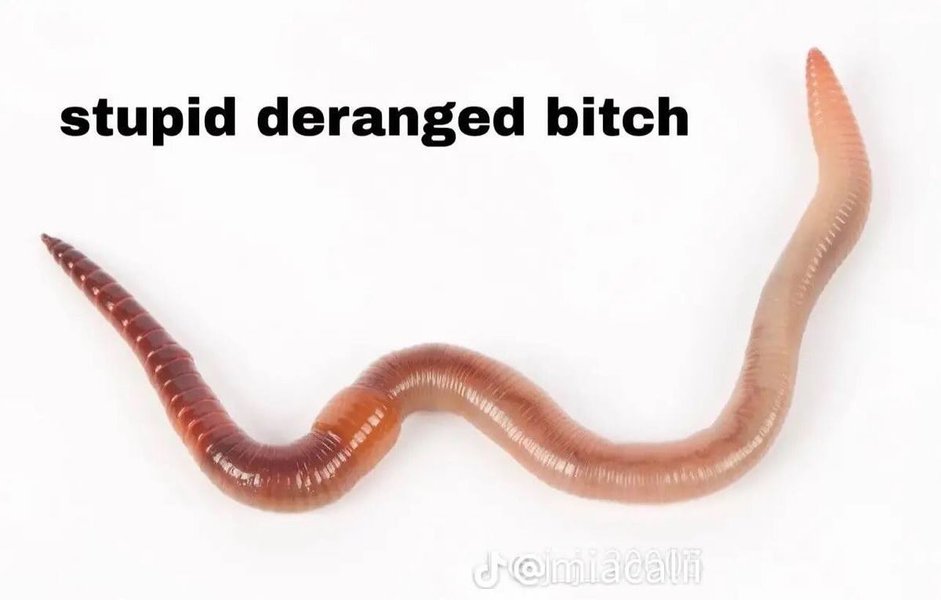 Thumbnail of p-c6acmj4gcyj-9fca8e8ff4714d46 0