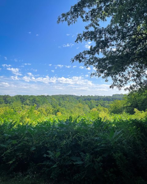 Thumbnail of p-cwsvx9olndp-9fdfce3cc7b24cc8 1