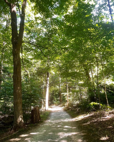 Thumbnail of p-cwsvx9olndp-9fdfce3cc7b24cc8 2