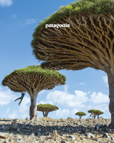 Thumbnail of p-cwolcrprfmr-a036622b38384577 0