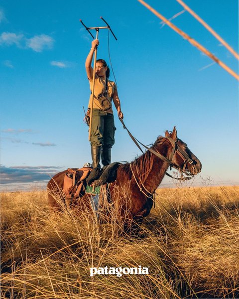 Thumbnail of p-cwolcrprfmr-a036622b38384577 2