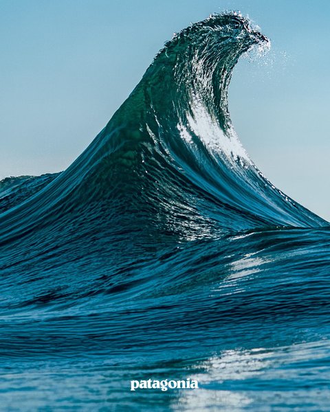 Thumbnail of p-cwolcrprfmr-a036622b38384577 3