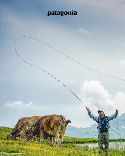 Thumbnail of p-cwolcrprfmr-a036622b38384577 4