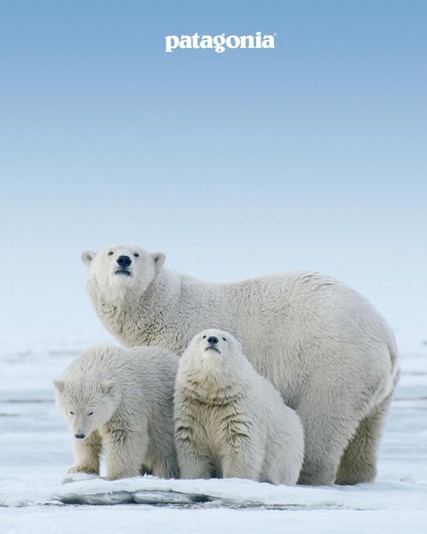 Thumbnail of p-cwolcrprfmr-a036622b38384577 9