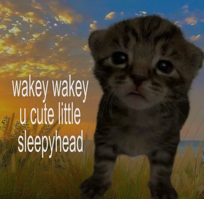 Thumbnail of www-x-com-literallyusmeow-status-1933378907241394227-a044f0b52dbc42af