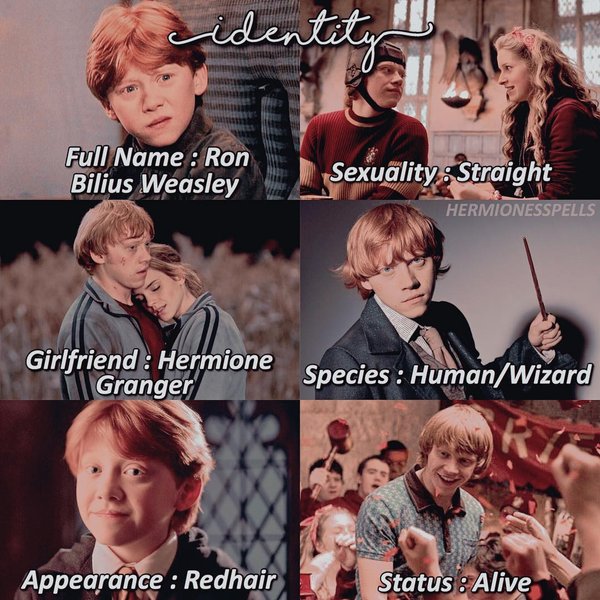 Thumbnail of n-gyj9-a053a53c430d49c6 1