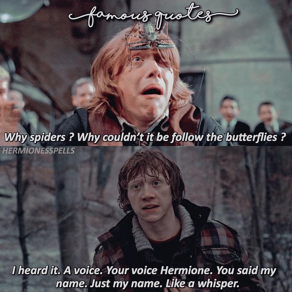 Thumbnail of n-gyj9-a053a53c430d49c6 4