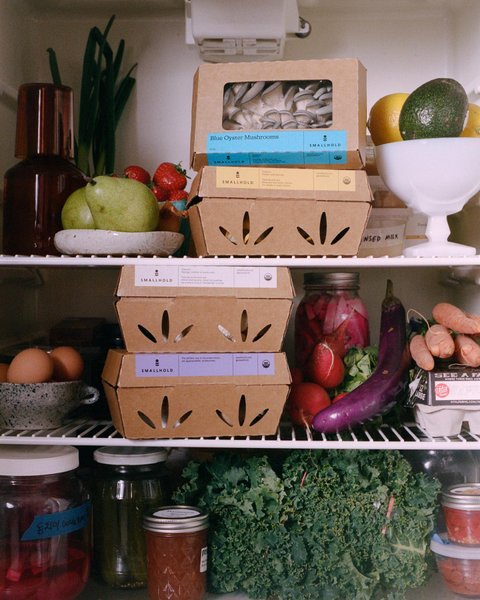 Thumbnail of p-ck37z1spcs5-a0a06941b0234b63 0