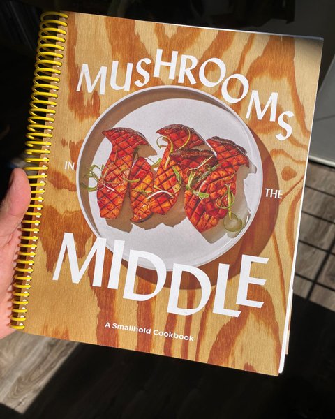 Thumbnail of p-ck37z1spcs5-a0a06941b0234b63 1