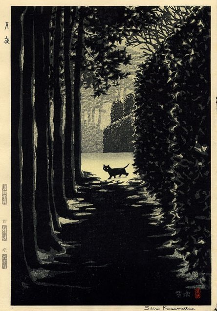 Thumbnail of www-x-com-corvuscorax81-status-1513848759905660930-a0b3e1be34504fd8