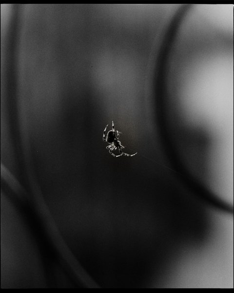 Thumbnail of p-cxzabrjprrz-a0c16df2718d4c8e 0