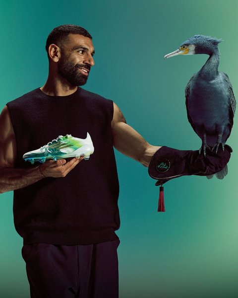 Thumbnail of p-dkcejg9ivme-a10f7c2ec9814232 12