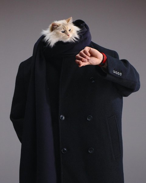 Thumbnail of p-dkcejg9ivme-a10f7c2ec9814232 13