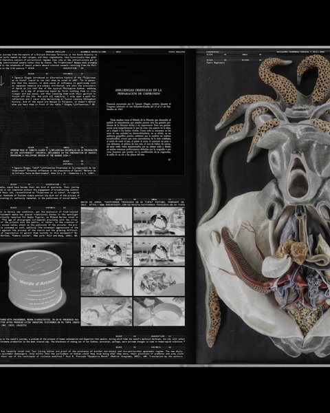 Thumbnail of p-ddpoccnizhj-a118ecbb98944ad1 3