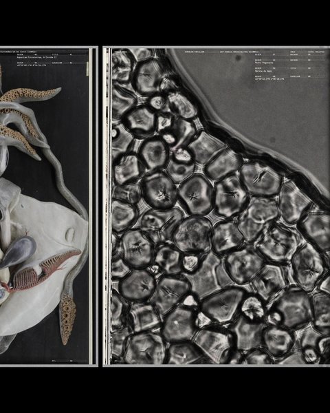 Thumbnail of p-ddpoccnizhj-a118ecbb98944ad1 4