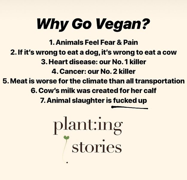 Thumbnail of p-bzwypxfie11-a15e5d0df24d4d00 0