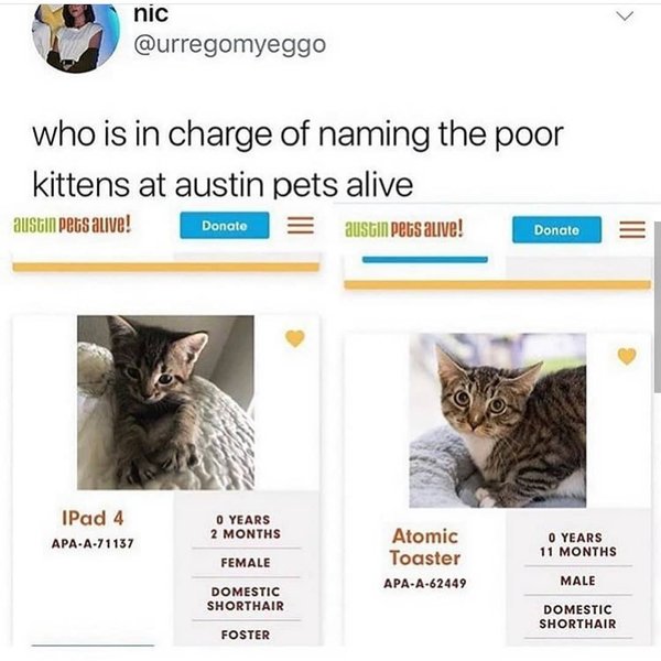 Thumbnail of p-bya7avmlifi-a172c3ac3f3d4280 0