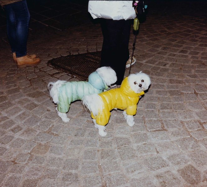 Thumbnail of p-cjtwecjageh-a1b10a0789274814 0