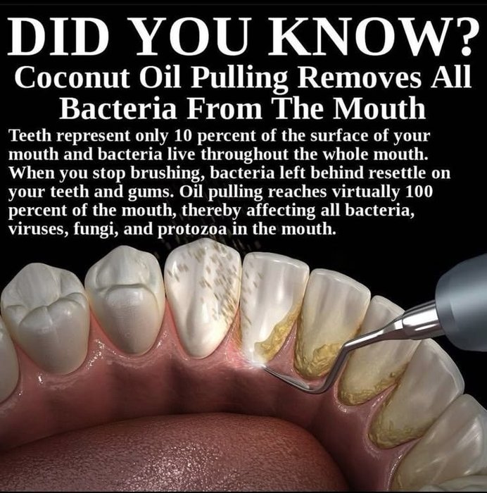 Thumbnail of www-x-com-barbaraoneillau-status-1974851581163049273-a1b1320eeeed4a52