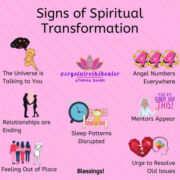 Thumbnail of p-clhf1cehphl-a1c546cfb2b54e5f 0