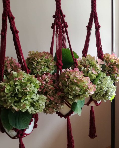 Thumbnail of p-bp4ffadd6v5-a1e3ea418a0c4c71 6