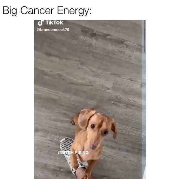 Thumbnail of b8-tep2nrum-a1e907f1fb0f4ae1 3