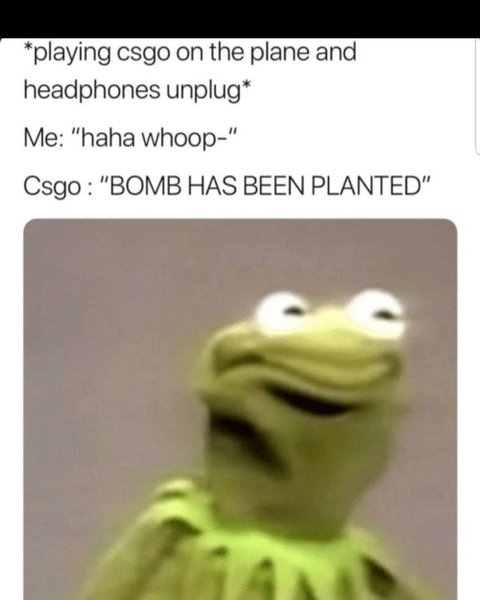 Thumbnail of p-b6jldn1lfhc-a205d0a4c7a44c47 0