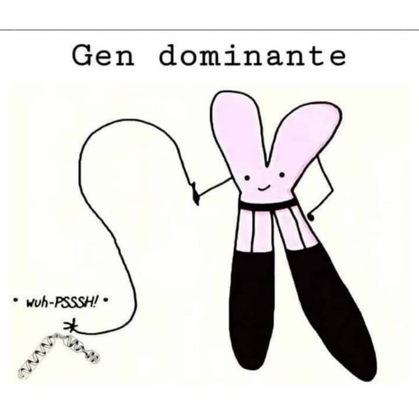 Thumbnail of p-cyj8hmdllyz-a22eae0c226d447f 1