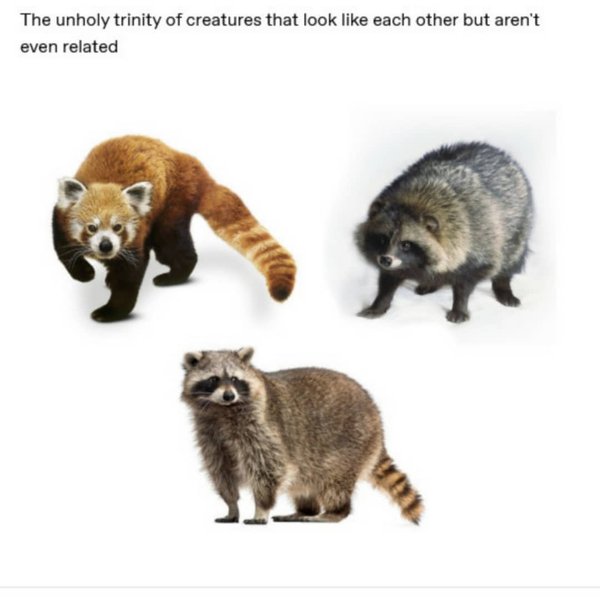 Thumbnail of p-cyj8hmdllyz-a22eae0c226d447f 2