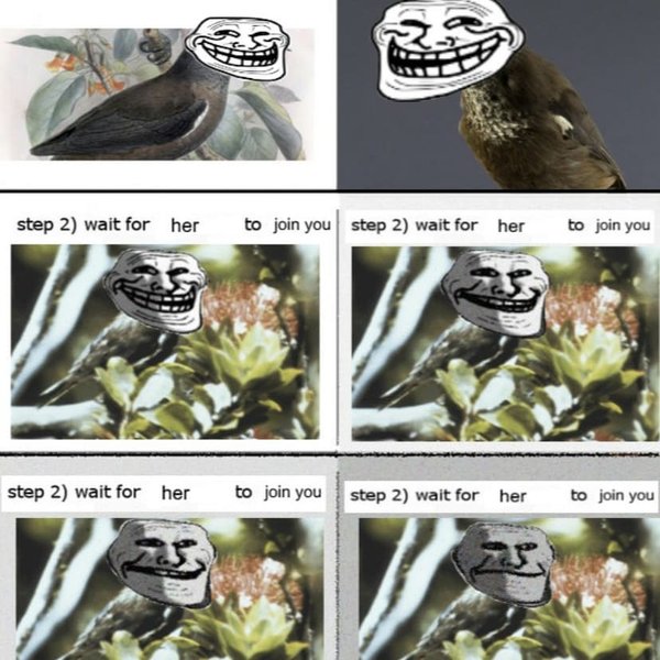 Thumbnail of p-cyj8hmdllyz-a22eae0c226d447f 9